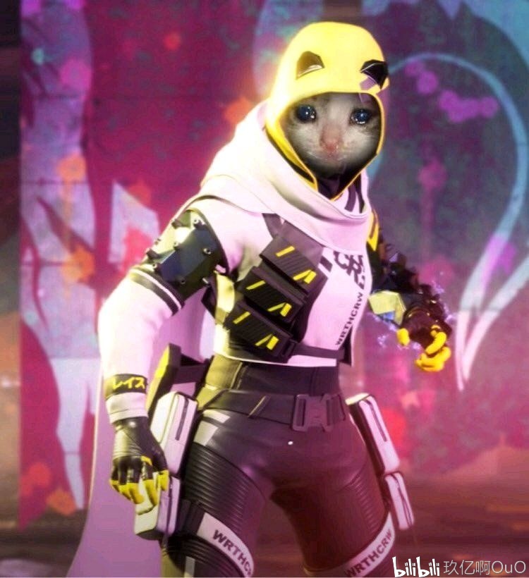 是不是又有 是不是又有